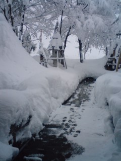 c0202101_14374750.jpg