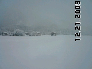 c0202101_1441353.jpg