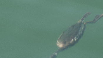c0059002_23114097.jpg