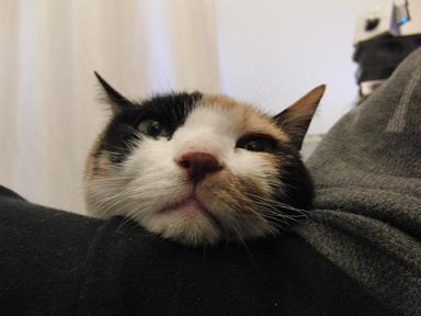 c0201113_238185.jpg