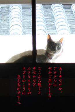 e0156015_22272385.jpg