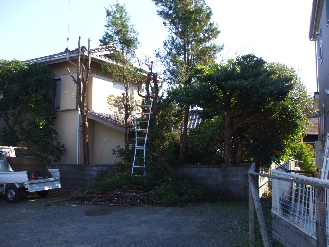 b0096418_1840168.jpg