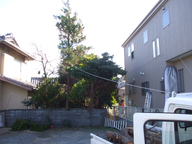 b0096418_18484558.jpg