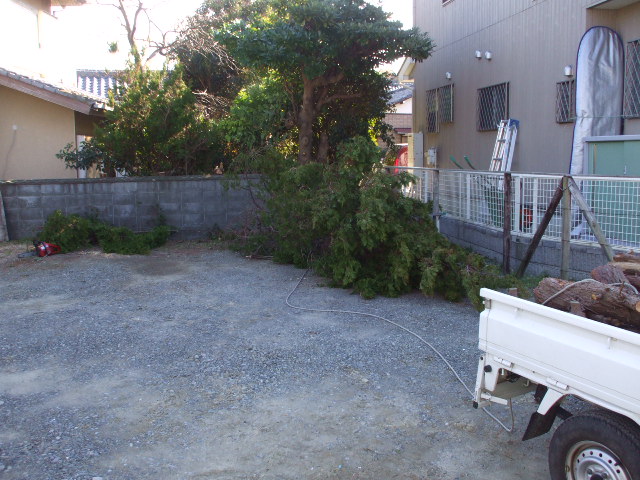b0096418_18491732.jpg