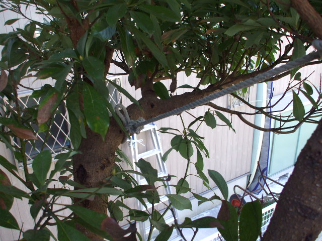 b0096418_18494485.jpg