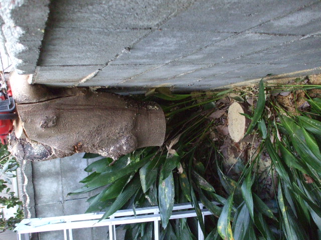 b0096418_1853366.jpg