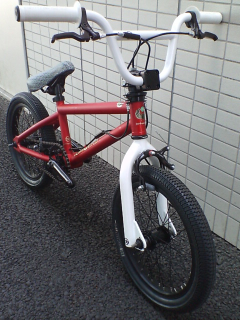 c0100318_1658457.jpg