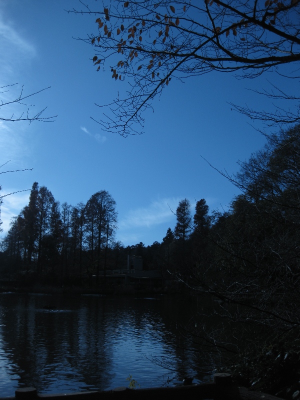 c0134522_10403145.jpg