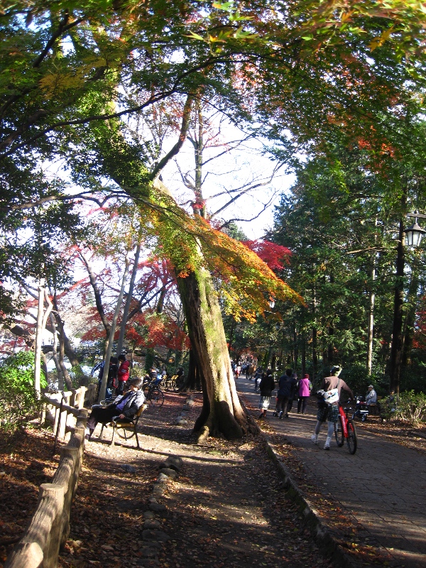 c0134522_10422547.jpg