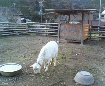 f0036223_19561196.jpg