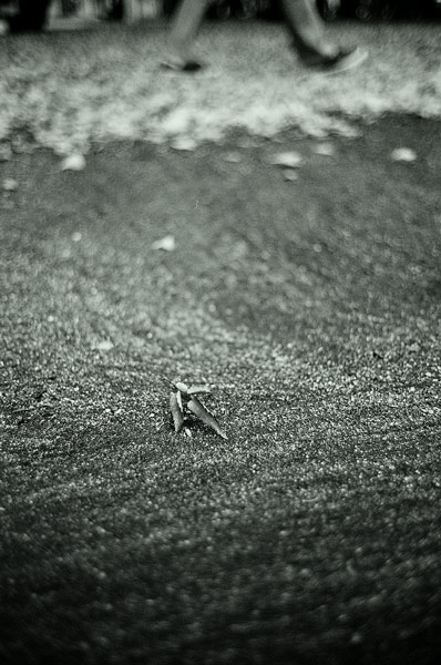 a0145825_2052516.jpg