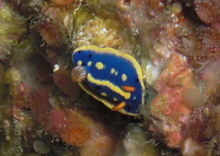 a0004326_20555010.jpg