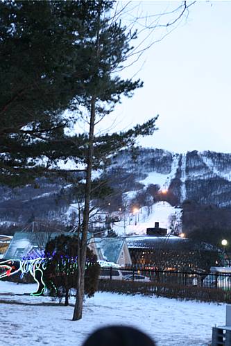 f0135026_1452279.jpg
