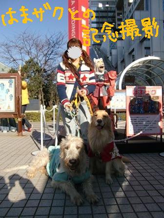 f0176830_1647595.jpg