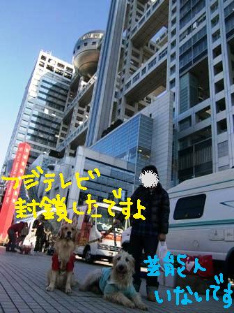 f0176830_16533414.jpg