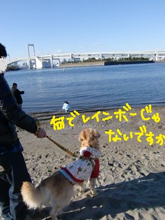 f0176830_1772511.jpg