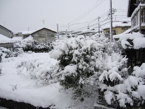 c0227932_2163966.jpg
