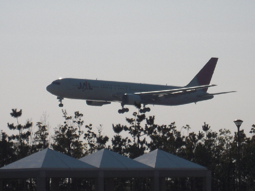 d0017632_1936863.jpg