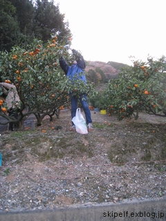 c0134734_22165921.jpg