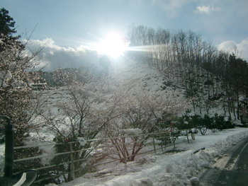 c0183137_21282653.jpg