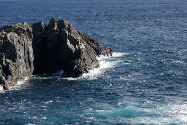 e0083238_2332334.jpg