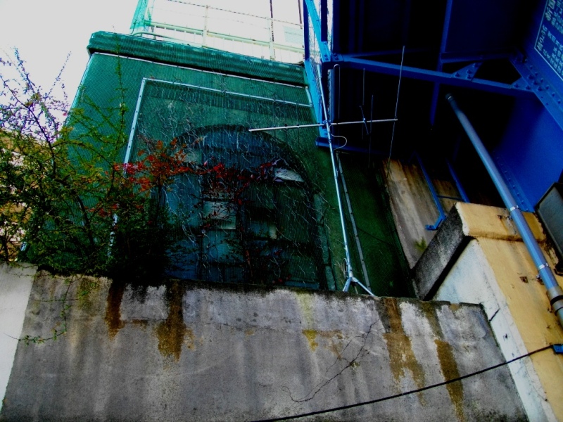 c0101739_2025091.jpg