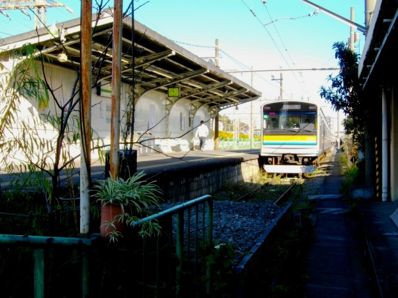 c0101739_20313341.jpg