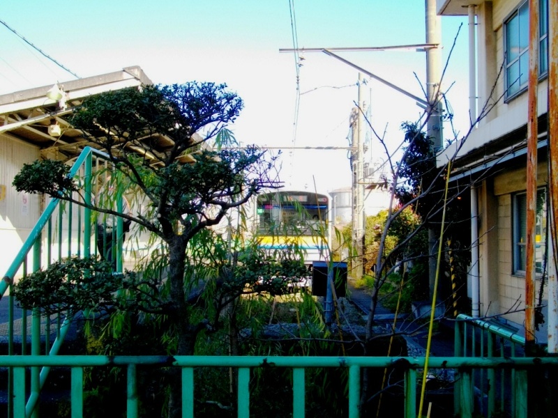 c0101739_20314564.jpg