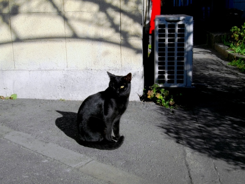 c0101739_20324137.jpg