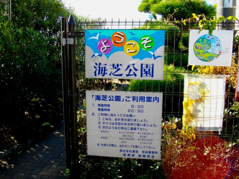 c0101739_20535697.jpg