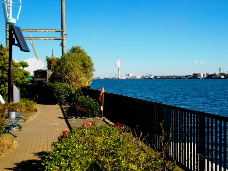 c0101739_20542713.jpg
