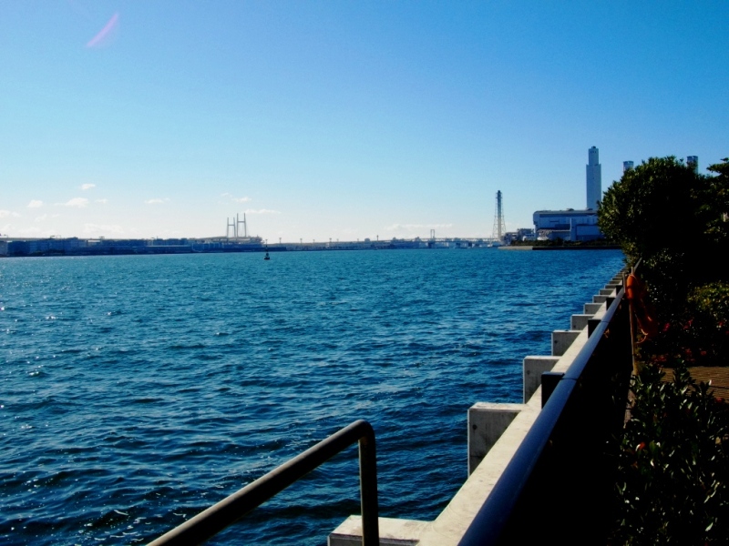 c0101739_20545593.jpg