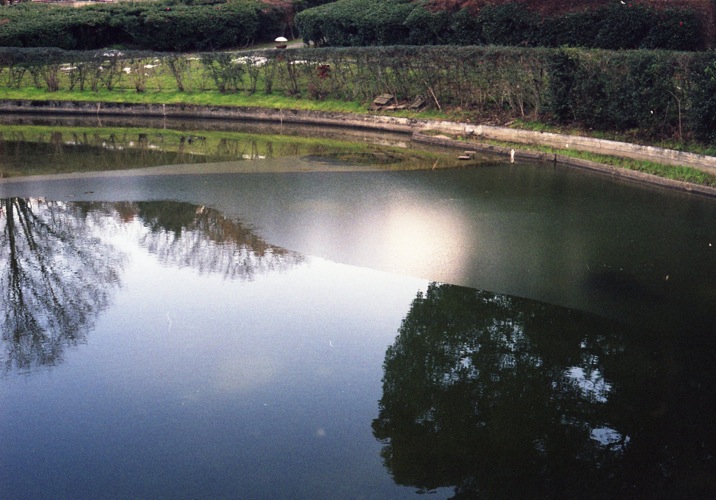 d0089742_133392.jpg