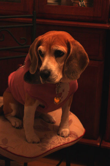 a0042044_22184362.jpg