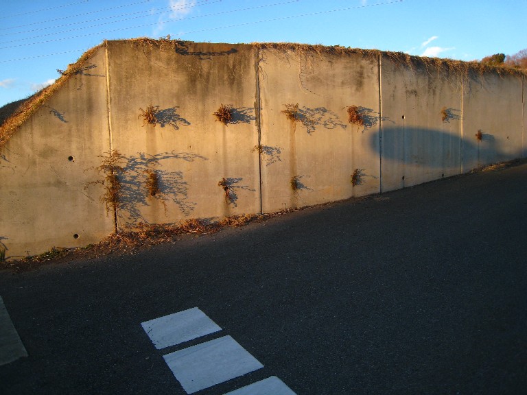 e0009147_183016.jpg