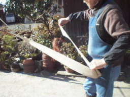 c0047449_20415334.jpg