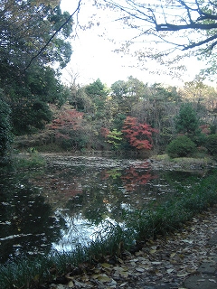 f0009451_15555058.jpg