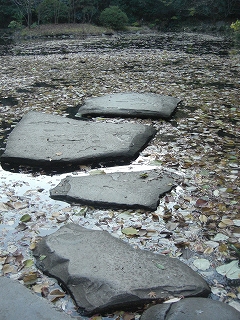 f0009451_1556993.jpg