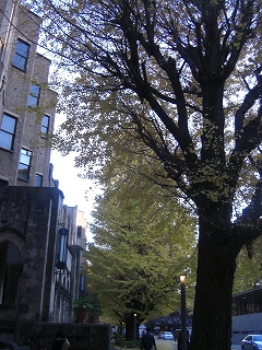 f0009451_1603287.jpg