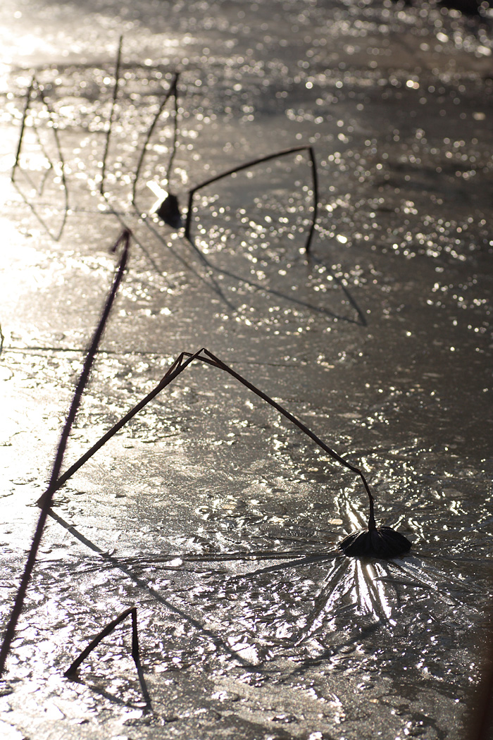 d0148060_17271975.jpg