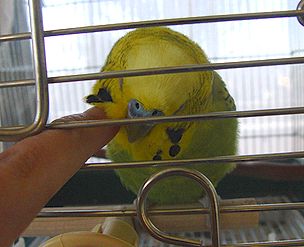f0196665_0124655.jpg