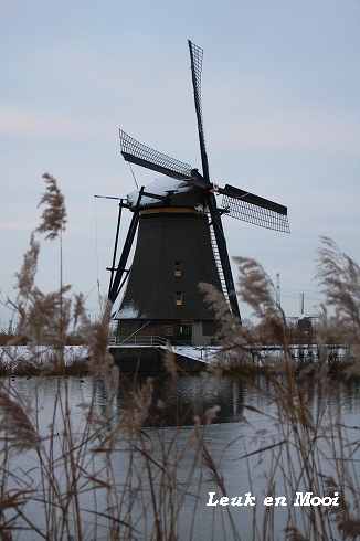 f0177666_1802358.jpg