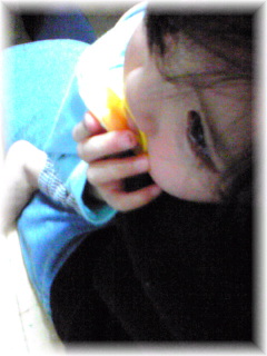 c0204675_1847243.jpg