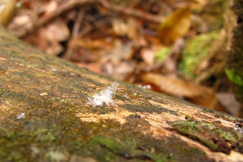e0024081_18384429.jpg