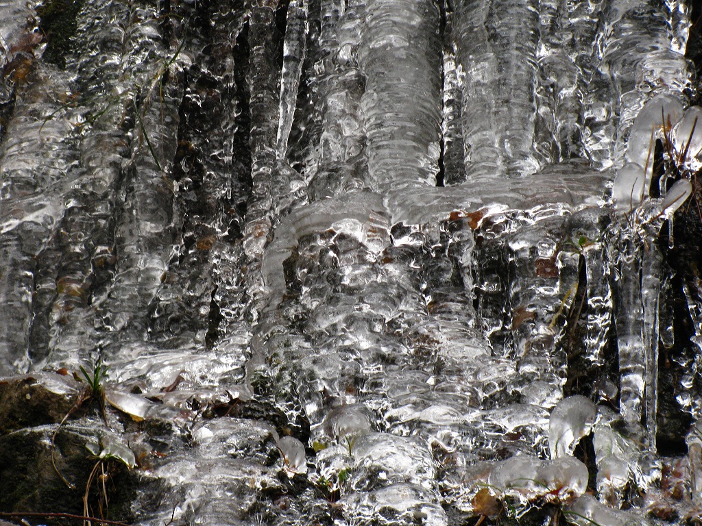 e0024081_18395748.jpg