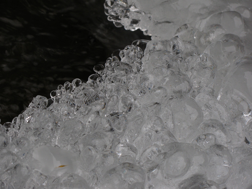 e0024081_1840914.jpg