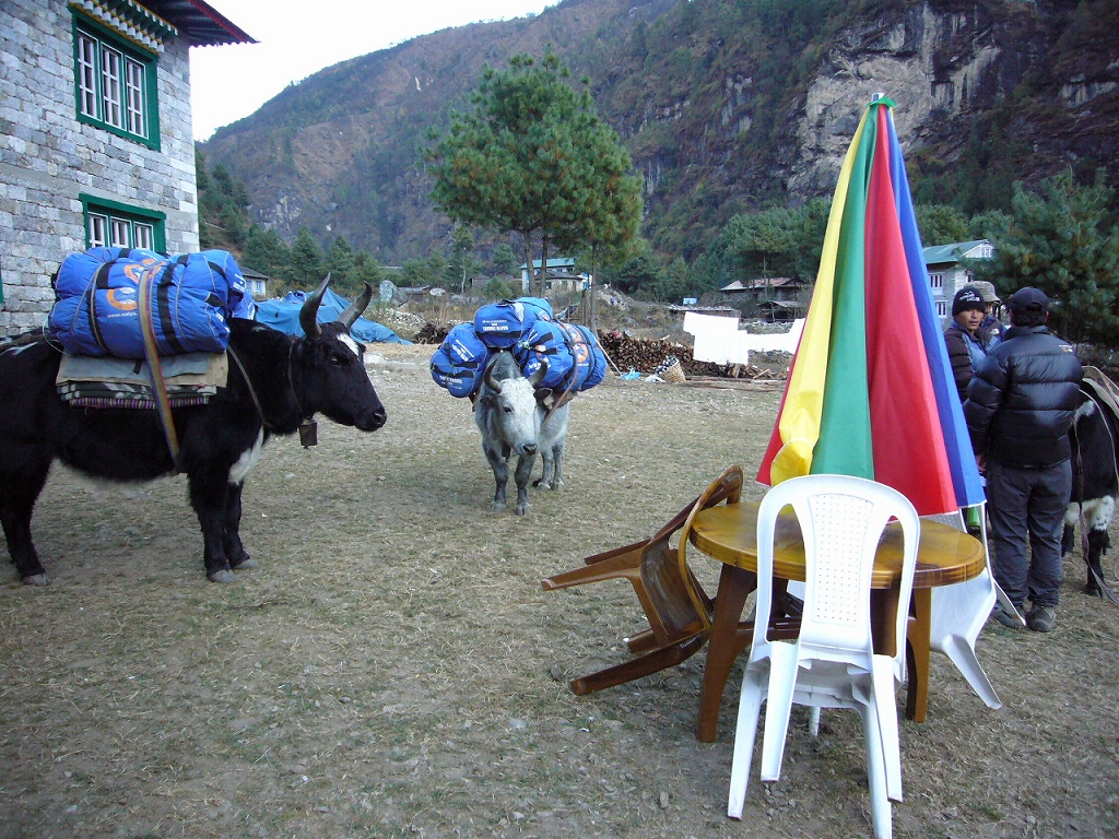 e0024081_19562289.jpg