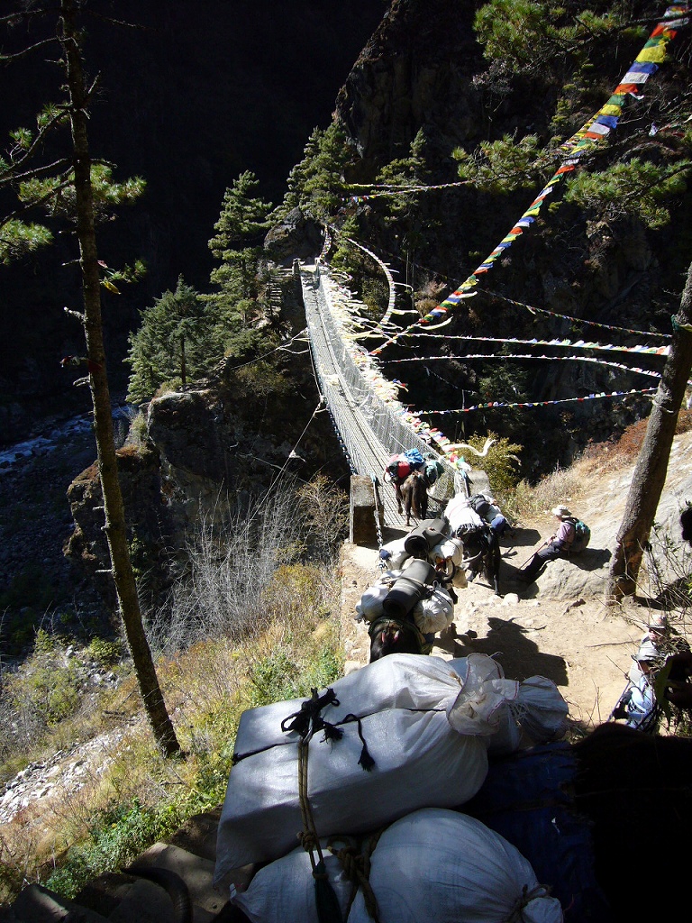 e0024081_2002161.jpg