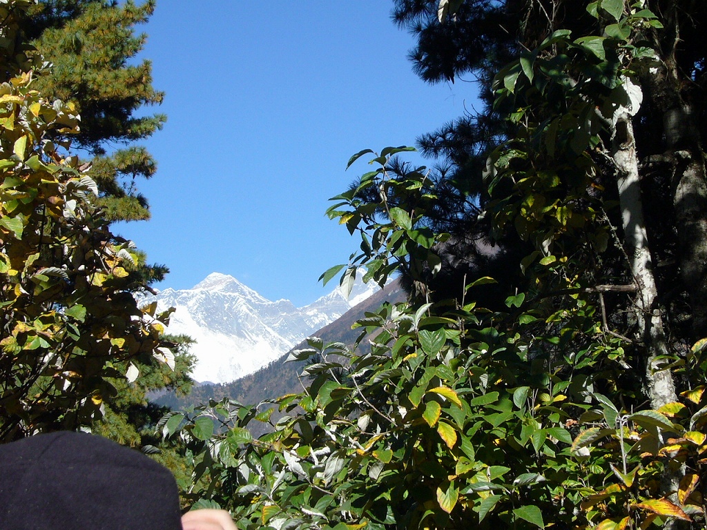 e0024081_2005891.jpg