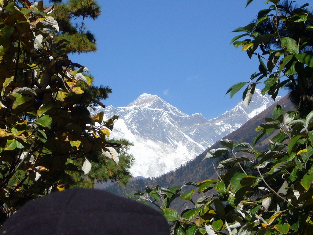 e0024081_2011121.jpg
